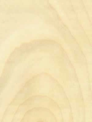 Sycamore veneer